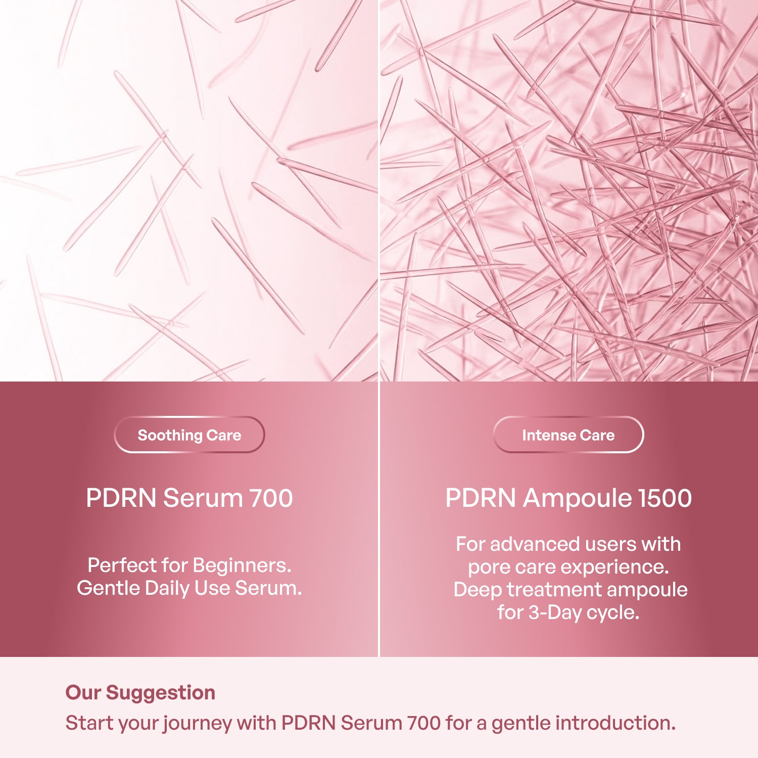 PDRN Exosome Ampoule 1500 - Plantifique