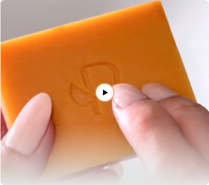 How to Video Tutorial